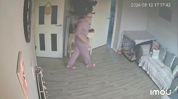 看点 第160页