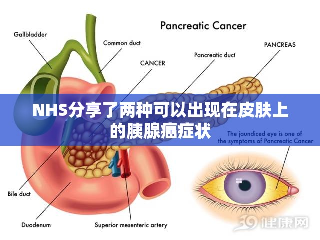 admin 第221页